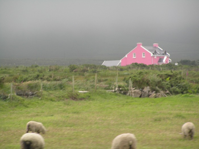 102Pink House-Valentia Harbor