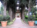 114PublicGardensTaormina