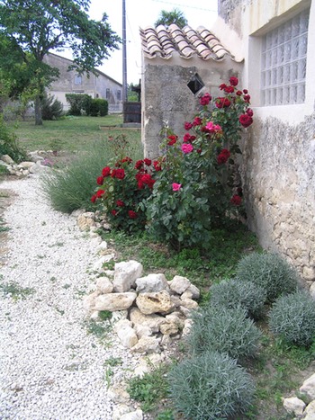 11.Flowers At EmilionWinery