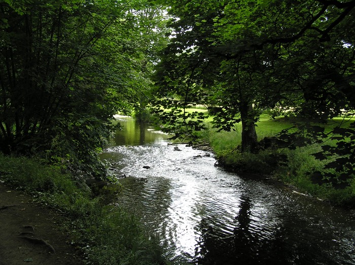 122River Near Blarney Castle