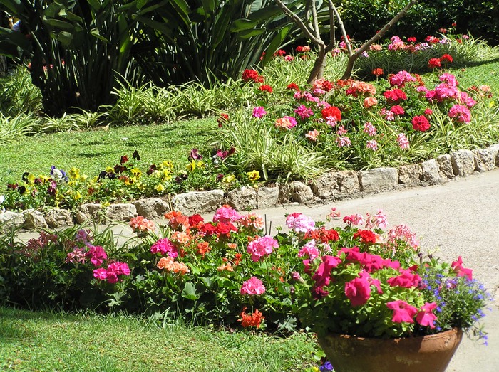 145FlowersInAugsGarden