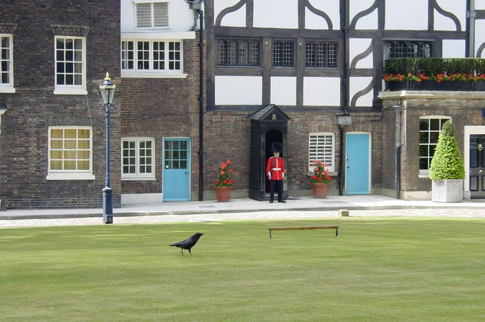 19eTowerOfLondRaven&Guard