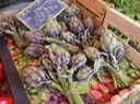 24OLdTown Artichocks