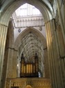 37Yorkminster Ceiling