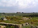 68SelinunteRuinsLandscape