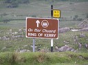 82Ring of Kerry Sign