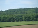 9Countryside In Bordeau