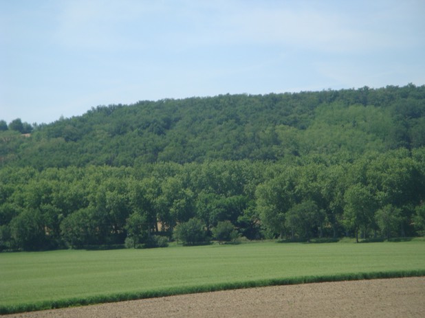 9Countryside In Bordeau